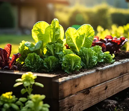 Le jardinage en permaculture favorise la biodiversité